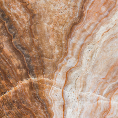 texture of marble floor for background