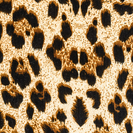 texture of fabric stripes leopard for backgroundの写真素材