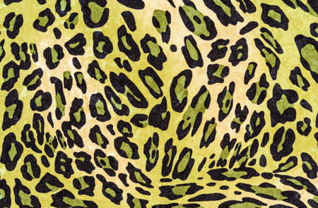 texture of fabric stripes leopard for backgroundの写真素材