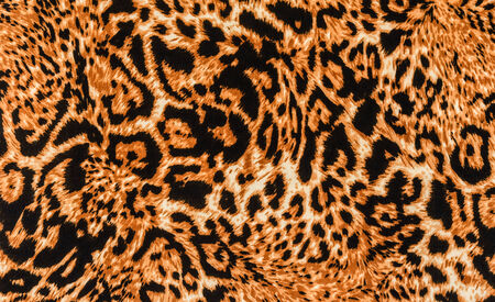 texture of print fabric stripes leopard for background