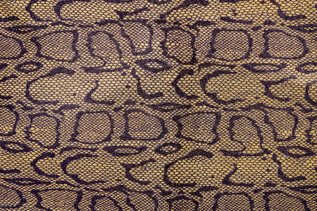texture of fabric stripes snake leather for background