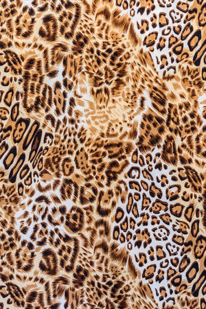 texture of print fabric stripes leopard for backgroundの写真素材