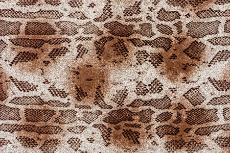 texture of fabric stripes snake leather for background