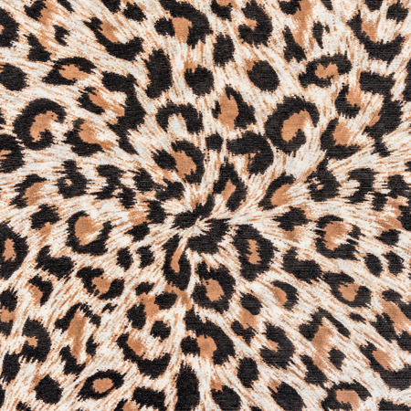 texture of print fabric stripes leopard for backgroundの写真素材