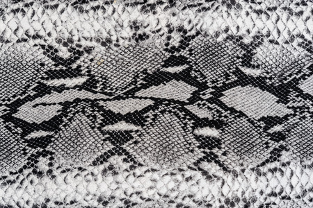texture of print fabric striped snake leather for background