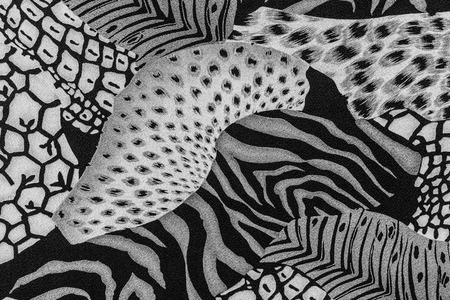 texture of print fabric striped leopard and zebra for background