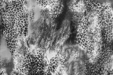 texture of print fabric striped leopard for backgroundの写真素材