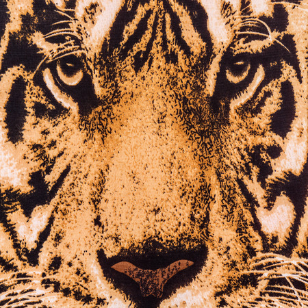 texture of print fabric striped the tiger face for backgroundの写真素材
