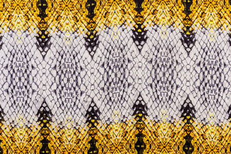 texture of print fabric striped snake leather for backgroundの写真素材