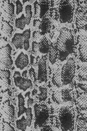 texture of fabric striped snake leather for background