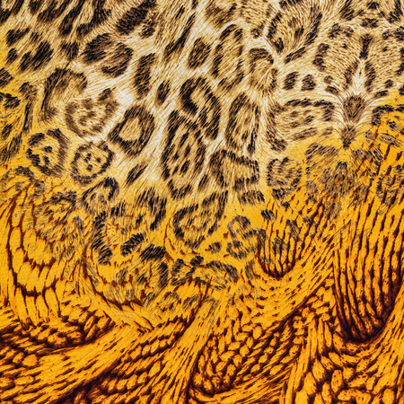 texture of print fabric striped leopard and feather for backgroundの写真素材