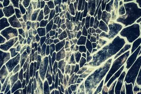 texture of print fabric striped giraffe for backgroundの写真素材