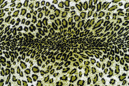 texture of print fabric striped leopard for backgroundの写真素材