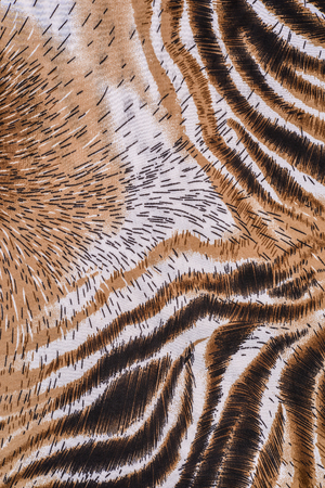 texture of print fabric striped zebra for backgroundの写真素材