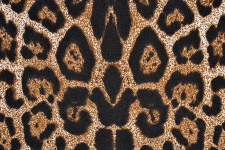 texture of print fabric striped leopard for backgroundの写真素材