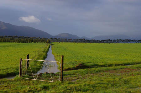 Green Pastures