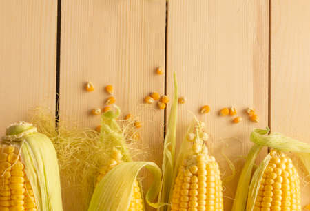CORN, SWEET CORN ON WOOD BACKGROUNDの写真素材