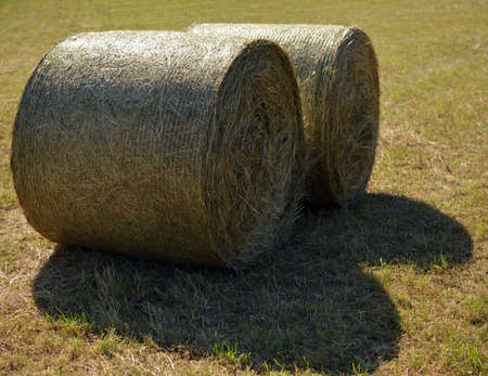 Two straw bales with big shadows below.の写真素材