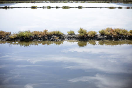 Old mining lake marine sedimentary salt, summer season.の写真素材