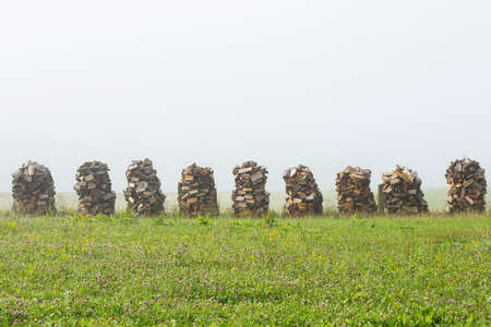 Wood drying on air for winter season in mist.