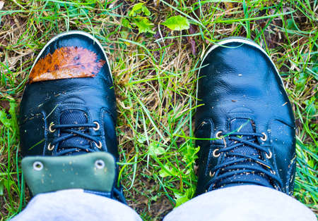 Morning walk in the grassy fieldsの写真素材