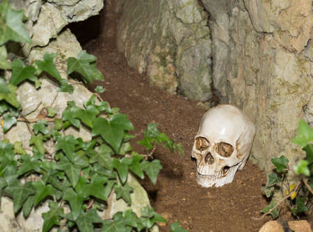 Persons head found in  front of a cave entrance.の写真素材