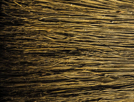 Cleaning broom in a different angle.の写真素材