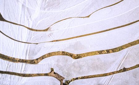 Broken ice, with lines of frozen earth in betwen.