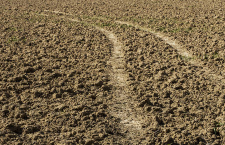 Rough terrain leading to somewhere.