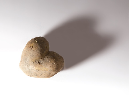 heart shaped potato, on a white background.の写真素材