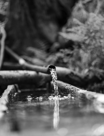 Water flowing from a plastic pipe in the nature.