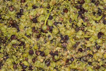 White minced grapes in the wooden barel