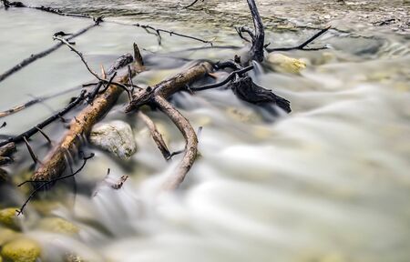 Running water with stuck dead trees in  the stream.の写真素材