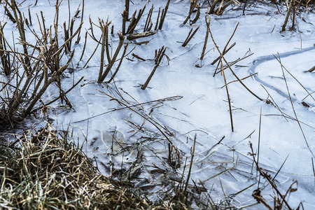 Small water stream is completely frozen.