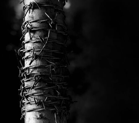 Barbed wire wrapped around a metal pole symbolizing harsh conditions.の写真素材