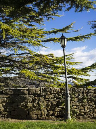 Bend lamp in a park with trees.の写真素材