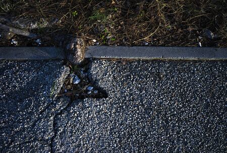 Root from a tree is breaking the asphaltの写真素材