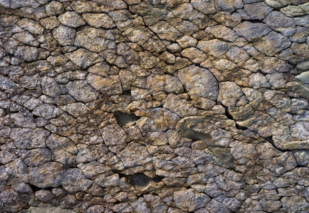 Geological site with cracked stones and a snake fossilの写真素材