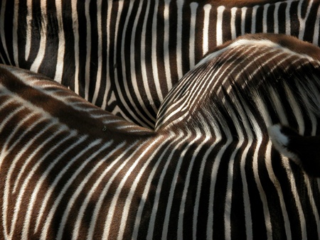 Abstract Realityの写真素材