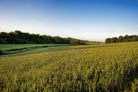 Rural Landscapeの写真素材