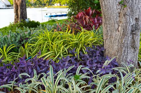 garden in a public parkの写真素材