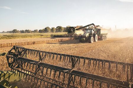 Combine harvester and a tractor working together on a wheat fieldの写真素材