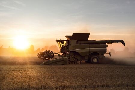 Combine harvester working on a field at sunsetの写真素材