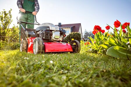 Lawn mower on a meadow at homeの写真素材