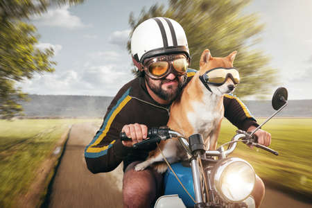 Man and his dog on a vintage motorcycle at top speedの写真素材