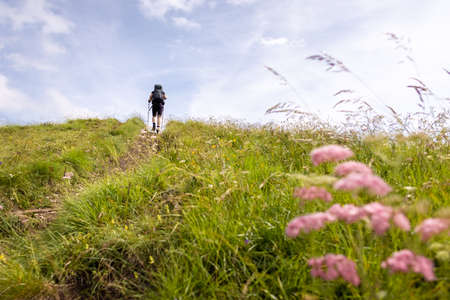 Hiker on a green meadow with flowers