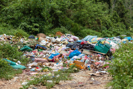 Pollution with garbage dumped in natureの写真素材