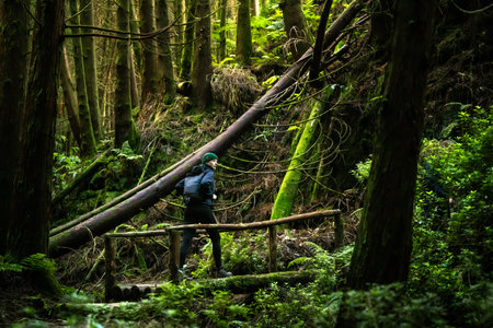Woman hiking through a dense forest in the Azores