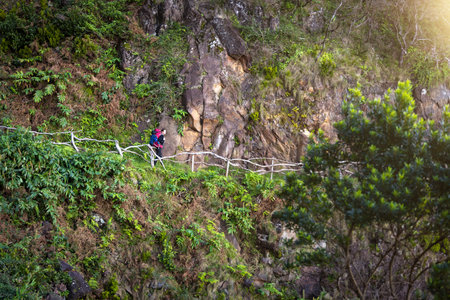 Woman with a large backpack walking along a hiking trail on SÃ£o Jorge island, Azoresの写真素材