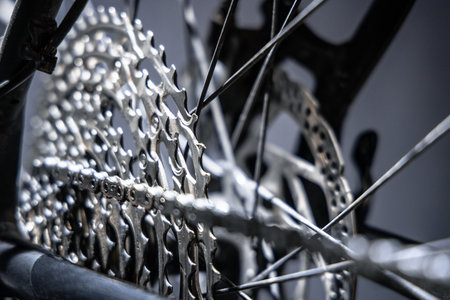 Close Up of Bicycle Gear Cassette and Chain